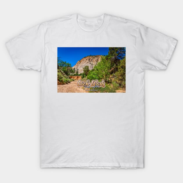 Lick Wash Trail Hike T-Shirt by Gestalt Imagery